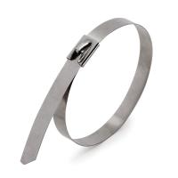 https://techelectro.ru/images/main/fasteners/ties/sks/sks_base.jpg